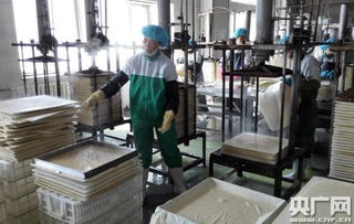 天人和 寧夏食品企業(yè)榮膺中國(guó)豆制品樣板工廠，引領(lǐng)健康飲食新風(fēng)尚